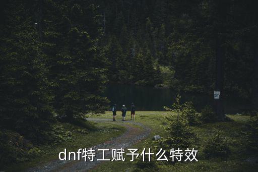 dnf特工赋予什么特效