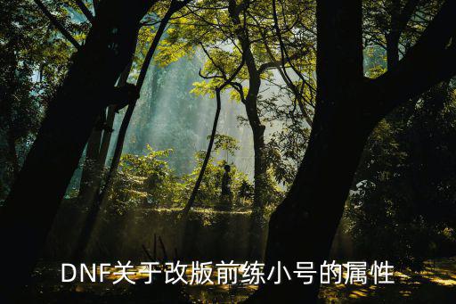 DNF关于改版前练小号的属性