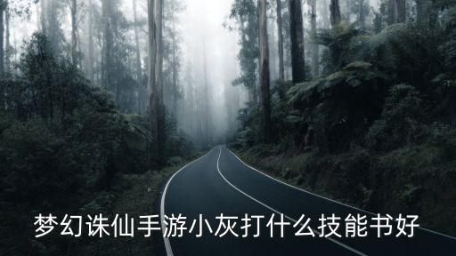 梦幻诛仙手游小灰怎么打书，梦幻诛仙小灰怎么打