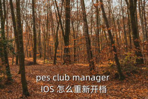 pes club manager IOS 怎么重新开档