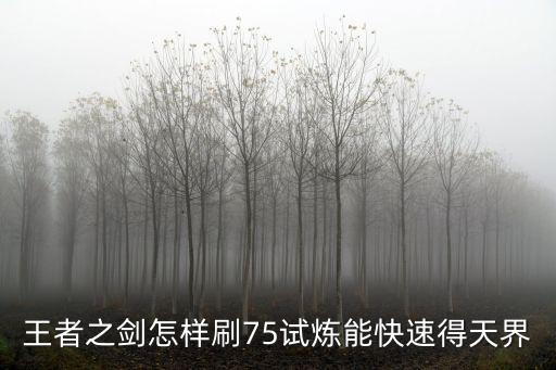 王者之剑怎样刷75试炼能快速得天界