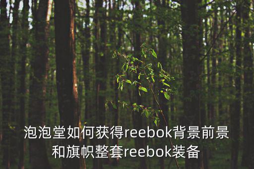 泡泡堂如何获得reebok背景前景和旗帜整套reebok装备