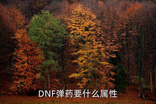 DNF弹药要什么属性