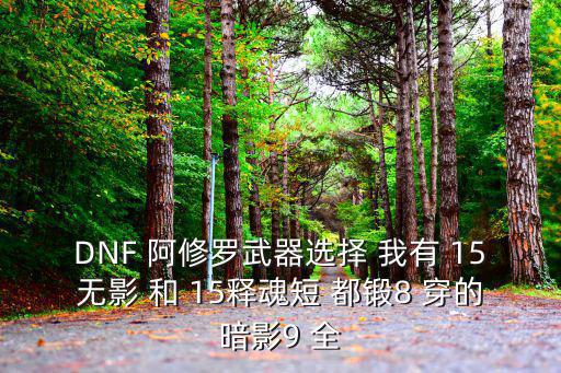 DNF 阿修罗武器选择 我有 15无影 和 15释魂短 都锻8 穿的暗影9 全