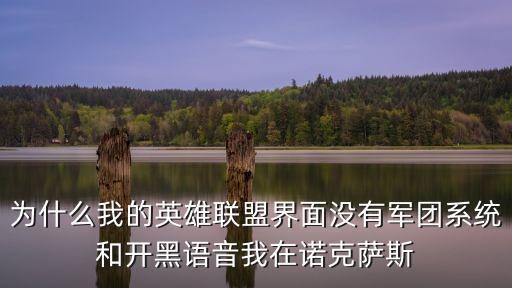 为什么我的英雄联盟界面没有军团系统和开黑语音我在诺克萨斯