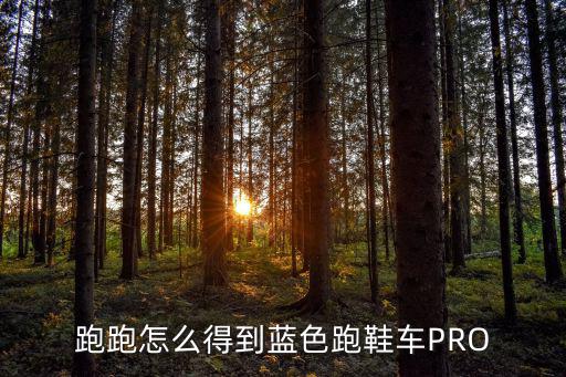 跑跑怎么得到蓝色跑鞋车PRO