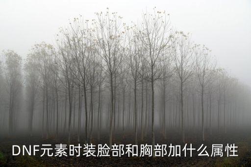 dnf元素脸用什么属性，DNF元素皮肤加什么属性