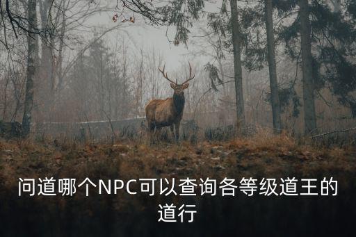 问道哪个NPC可以查询各等级道王的道行