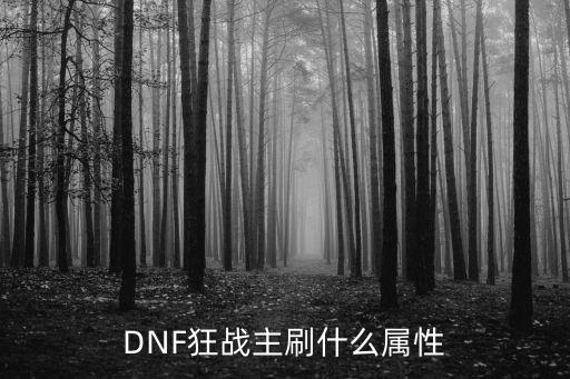 DNF狂战主刷什么属性