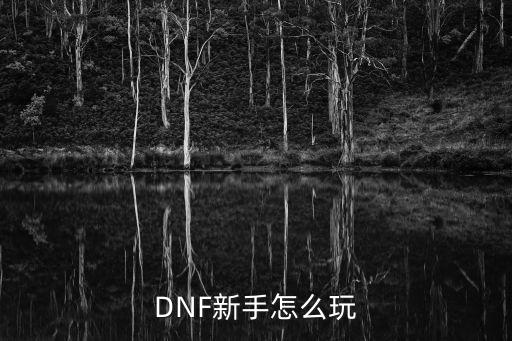 DNF新手怎么玩