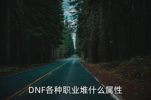 dnf各职业堆什么属性，dnf百分比职业应该堆什么属性