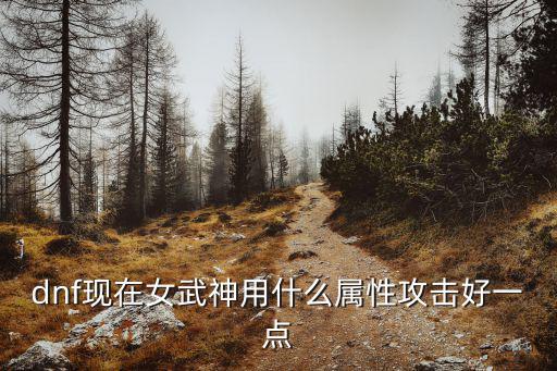 DNF五妹属性选什么好，dnf现在女武神用什么属性攻击好一点