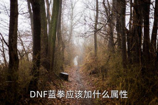 dnf蓝拳用什么属性攻击，DNF蓝拳加什么属性的