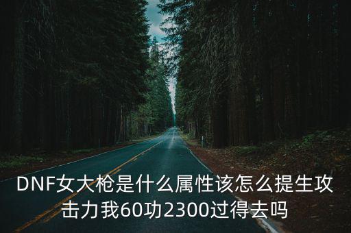 DNF女大枪是什么属性该怎么提生攻击力我60功2300过得去吗