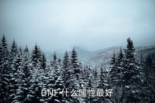 DNF 什么属性最好