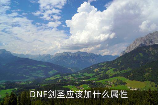 DNF剑圣应该加什么属性