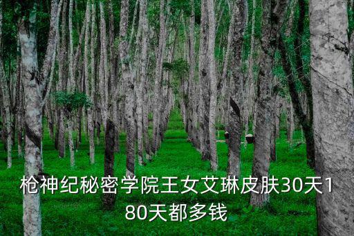 枪神纪秘密学院王女艾琳皮肤30天180天都多钱