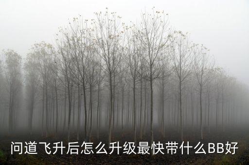 问道飞升后怎么升级最快带什么BB好