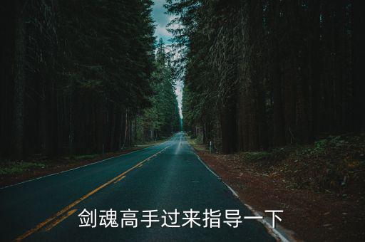 剑魂高手过来指导一下