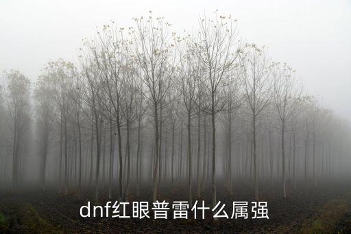 dnf红眼普雷什么属强