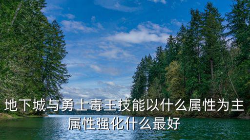 地下城与勇士毒王技能以什么属性为主属性强化什么最好