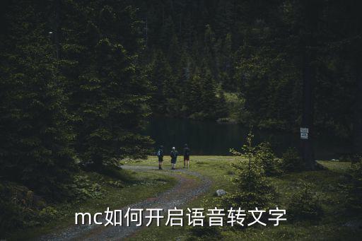 mc如何开启语音转文字