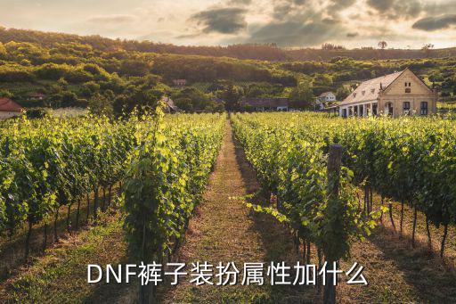 DNF裤子装扮属性加什么