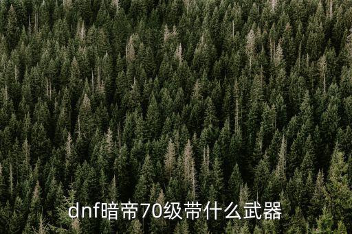 dnf暗帝70级带什么武器