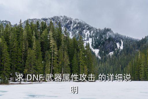 求 DNF 武器属性攻击 的详细说明