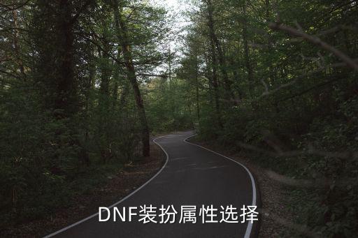 DNF装扮属性选择