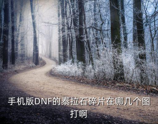 手机版DNF的泰拉石碎片在哪几个图打啊