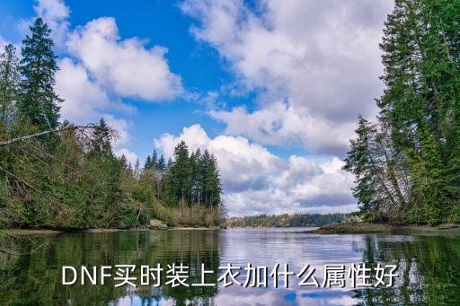 DNF买时装上衣加什么属性好