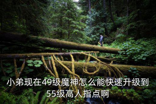 小弟现在49级魔神怎么能快速升级到55级高人指点啊