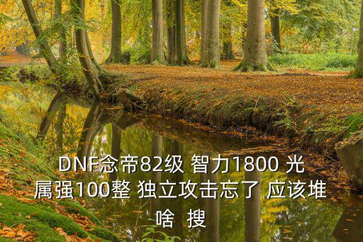 dnf念帝 堆什么属性，DNF念帝82级 智力1800 光属强100整 独立攻击忘了 应该堆啥  搜