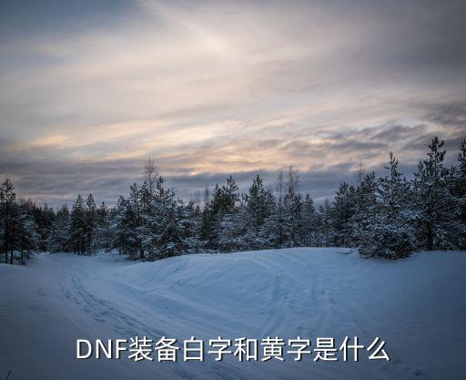 DNF装备白字和黄字是什么