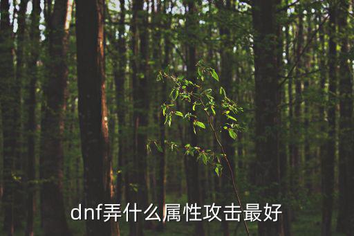 dnf能源打什么属性好，dnf什么4属性哪个最好