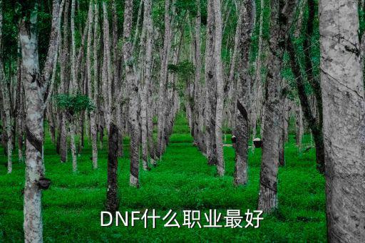 dnf属性给什么职业好，DNF什么职业最好