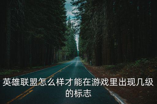 英雄联盟怎么样才能在游戏里出现几级的标志