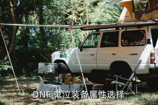 DNF 鬼泣装备属性选择