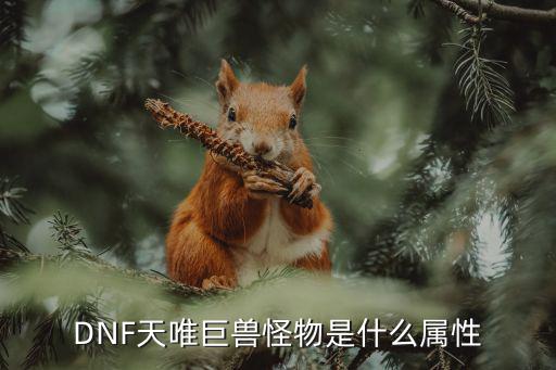 dnf格拉古尔是什么属性，DNF天唯巨兽怪物是什么属性