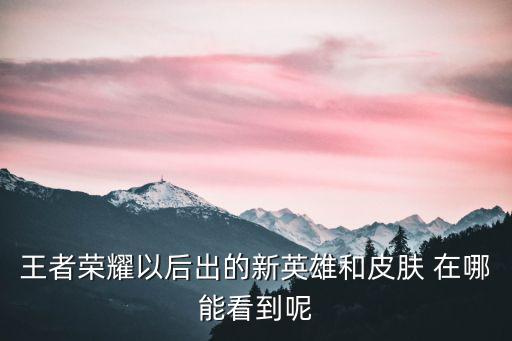 王者荣耀以后出的新英雄和皮肤 在哪能看到呢