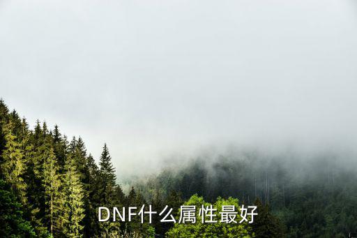 DNF什么属性最好