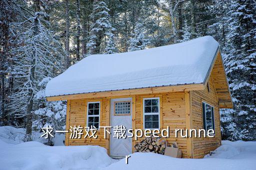 求一游戏下载speed runner