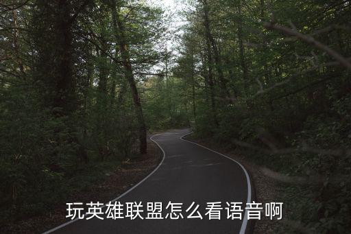 玩英雄联盟怎么看语音啊