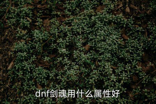 dnf剑魂用什么属性好