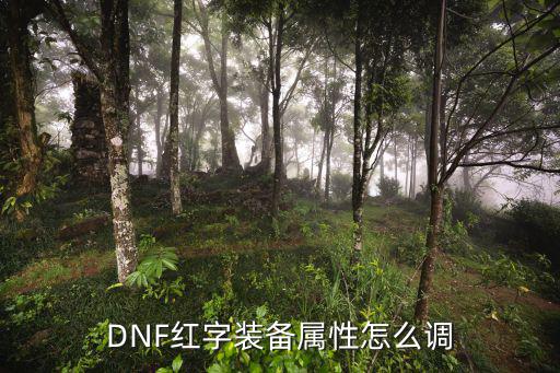 DNF红字装备属性怎么调