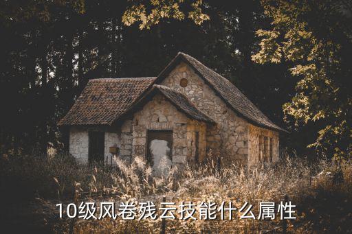 10级风卷残云技能什么属性