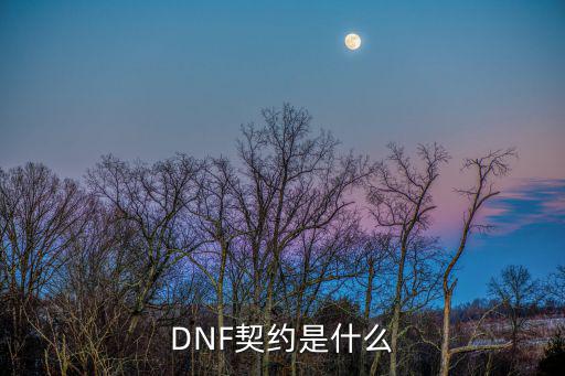 dnf契约属性是什么意思，dnf契约有什么用