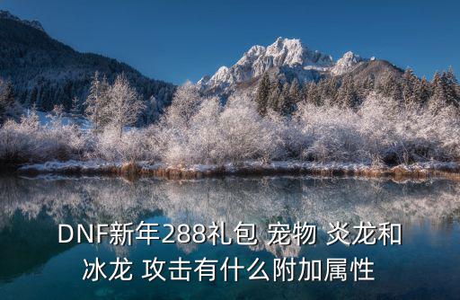 DNF新年288礼包 宠物 炎龙和冰龙 攻击有什么附加属性