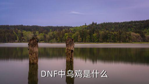 DNF中乌鸡是什么